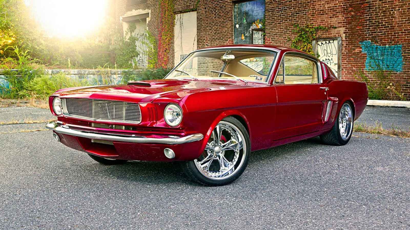 1966 Mustang Fastback - Sue Pellegrino